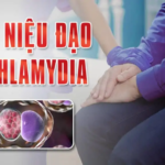 VIÊM NIỆU ĐẠO DO CHLAMYDIA