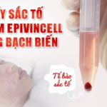 CẤY SẮC TỐ VI ĐIỂM EPIVINCELL TRONG BẠCH BIẾN 